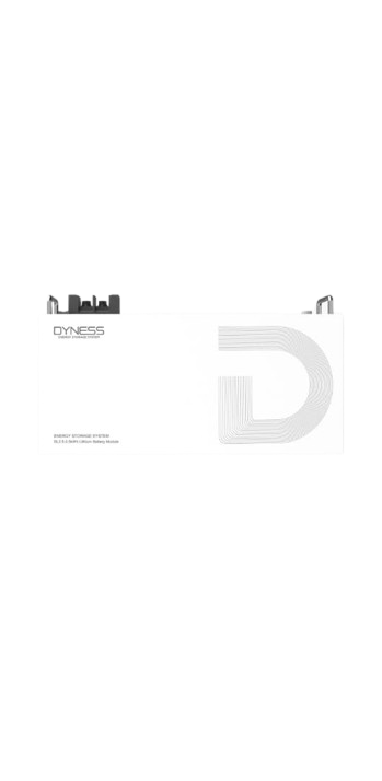 DYNESS 2.56kWh DL2.5 Battery